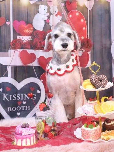 20250208りくくん